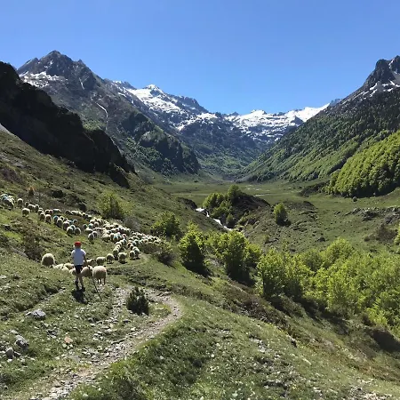 8 Pers Eaux-bonnes, Gourette, Laruns * Eaux-Bonnes
